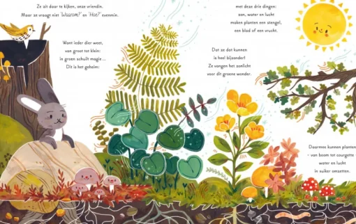 Een Woud Vol Wonderen | Prentenboek