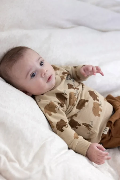 Feetje | Sweater Aop Best Friends | Zand