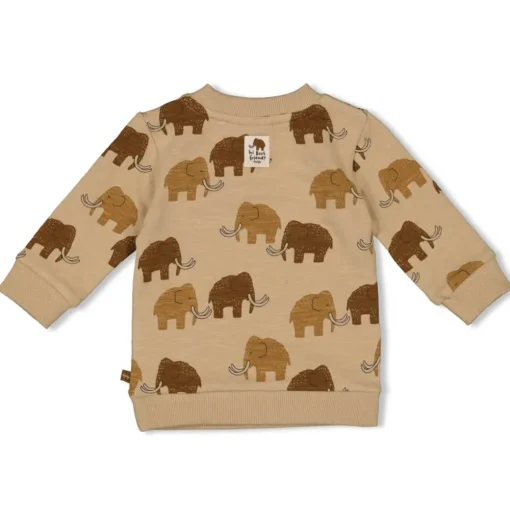Feetje | Sweater Aop Best Friends | Zand