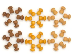 Grapat | Set Van 36 Mandala Paddenstoelen