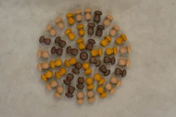 Grapat | Set Van 36 Mandala Paddenstoelen