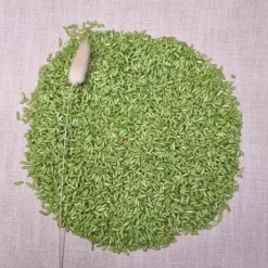 Grennn | 250 Gram Speelrijst Uni | Licht Groen