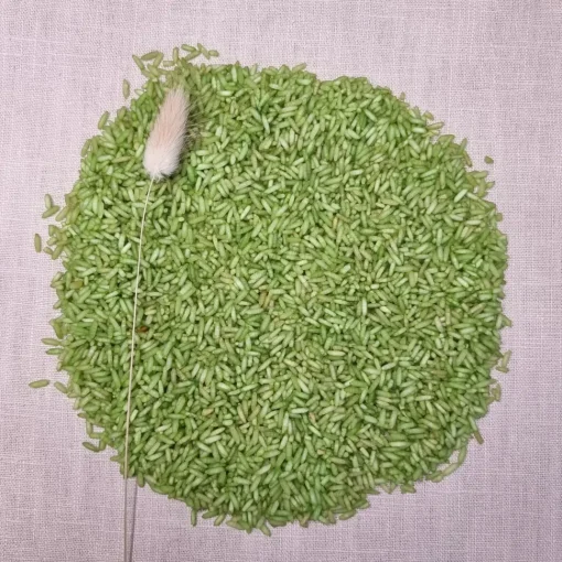 Grennn | 250 Gram Speelrijst Uni | Licht Groen