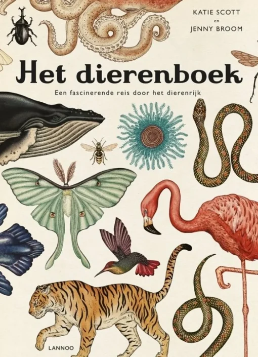 Het Dierenboek - Jenny Broom & Katie Scott