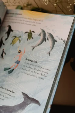Het Zinderende Zee Boek - Prentenboek