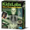 Kidzlabs | Human Science | Lichtgevend Menselijk Skelet