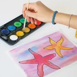 Primo | Aquarelverf Palet 12 Kleuren