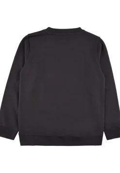 The New | Harley Sweater | Fly High