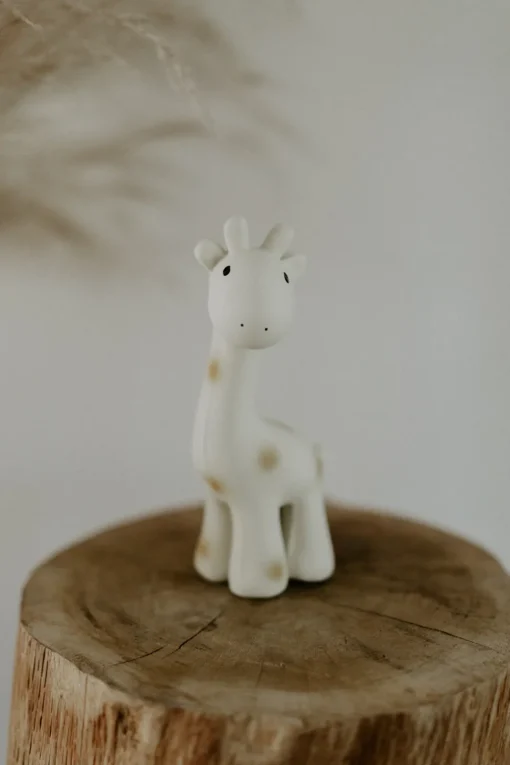 Tikiri | Bijt- En Badspeeltje | Mijn Eerste Zoodiertje Giraf
