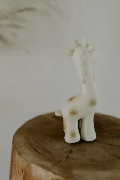 Tikiri | Bijt- En Badspeeltje | Mijn Eerste Zoodiertje Giraf